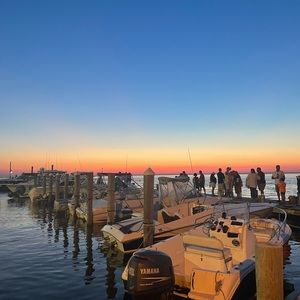 Meet your Posher, Sammy